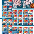 Antevisão Folheto CONTINENTE Madeira Promoções de 14 a 20 julho d3.jpg